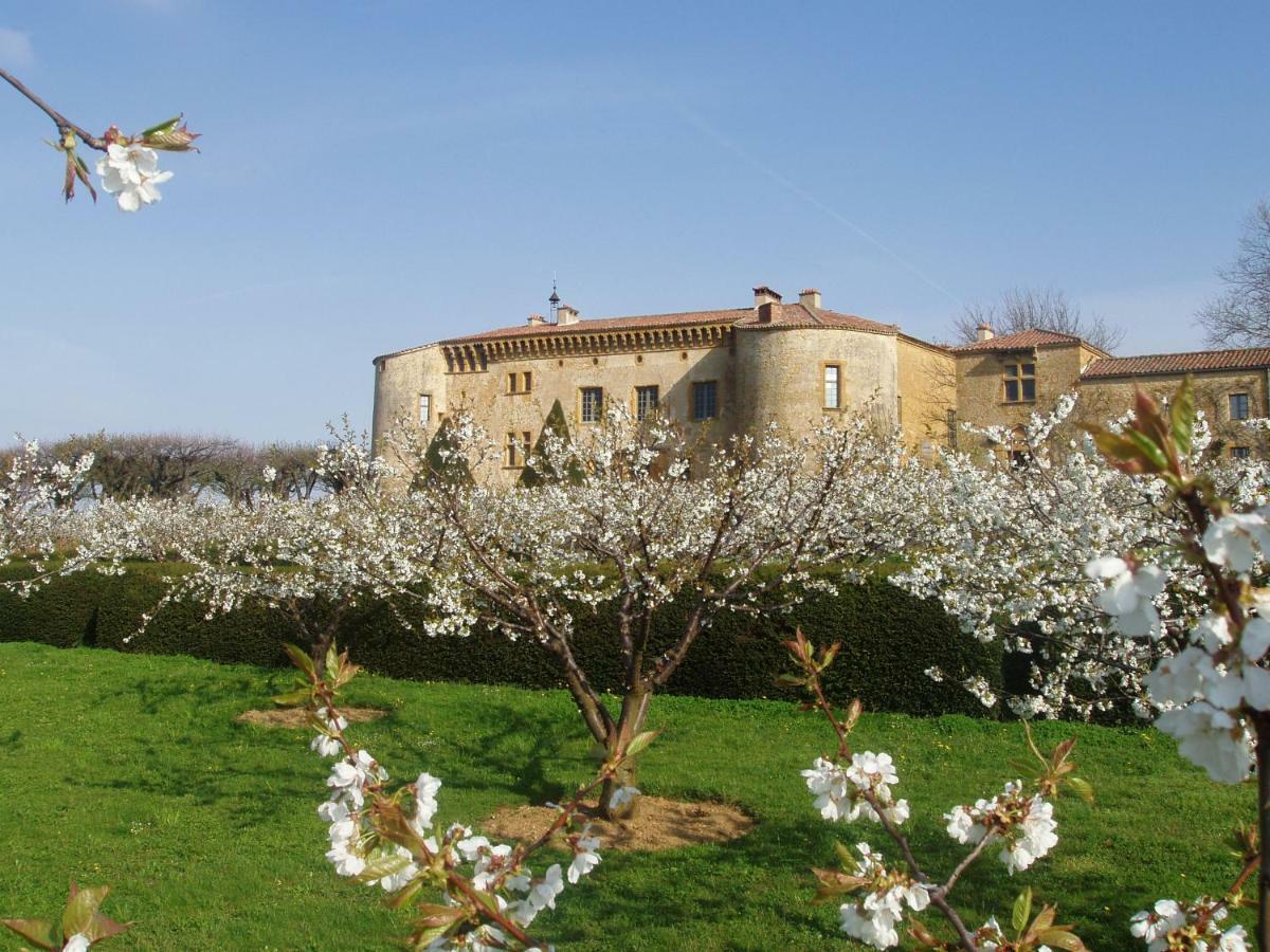 Château De 5* Bagnols (Rhone)